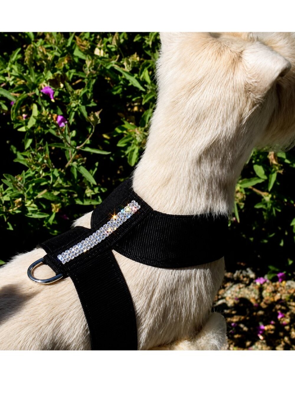 Size M Black Swarovski 3 Row Crystal Ultrasuede Giltmore  Harness